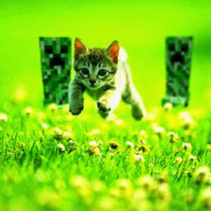 Meet your Posher, Nathan